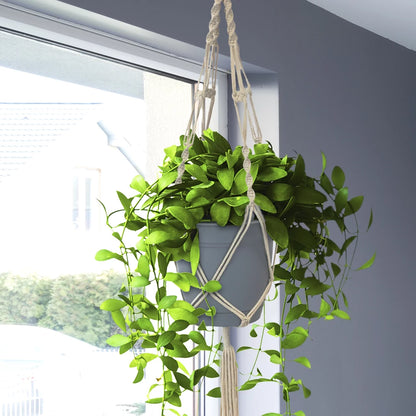 Macrame Plant Hanger Indoor Outdoor Hanging Plant Pots Cotton Rope, Elegant for Home, Patio, Garden, 4-Pack